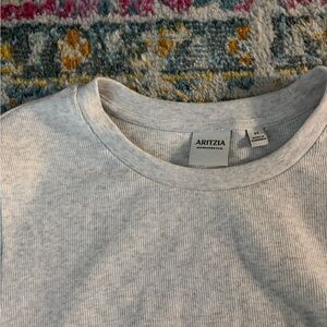 Aritzia Basics Grey Cropped Tee